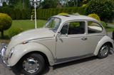 Volkswagen Käfer - graue Volkswagen Käfer