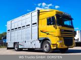 DAF XF 410 SC Menke Doppelstock - Daf XF 410