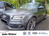 Audi SQ5 plus 3.0TDI Pano AHK B&O Std.Hzg. ASS-Paket - Audi SQ5 in Hamm