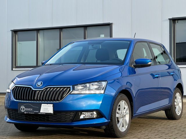 Skoda 1.0 TSI Ambition Kamera SmartLink PDC Alu S-Heft