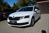 Skoda Octavia Combi Soleil 4x4/AHK/LED/ACC - Skoda Octavia: Weiß