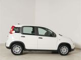 Fiat Panda 1.0 GSE Hybrid - Fiat Panda in Osnabrück