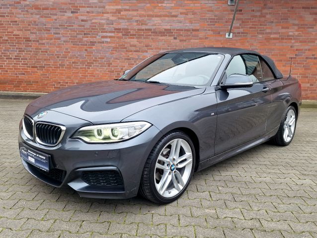 BMW Cabrio 218 i // M Paket Sport //