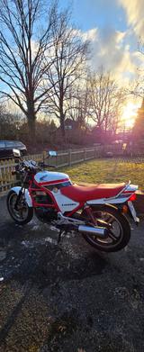 Honda CB 450S  Baujahr 1988  nur 5.553 km - Offers