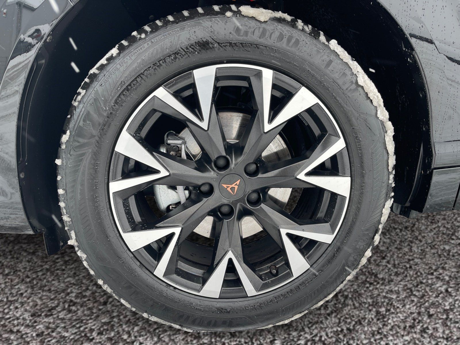 Cupra Terramar - Bild 8