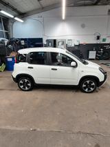 Fiat Panda Cross 1.0 Hybrid - Fiat Panda Gebrauchtwagen in Stuttgart
