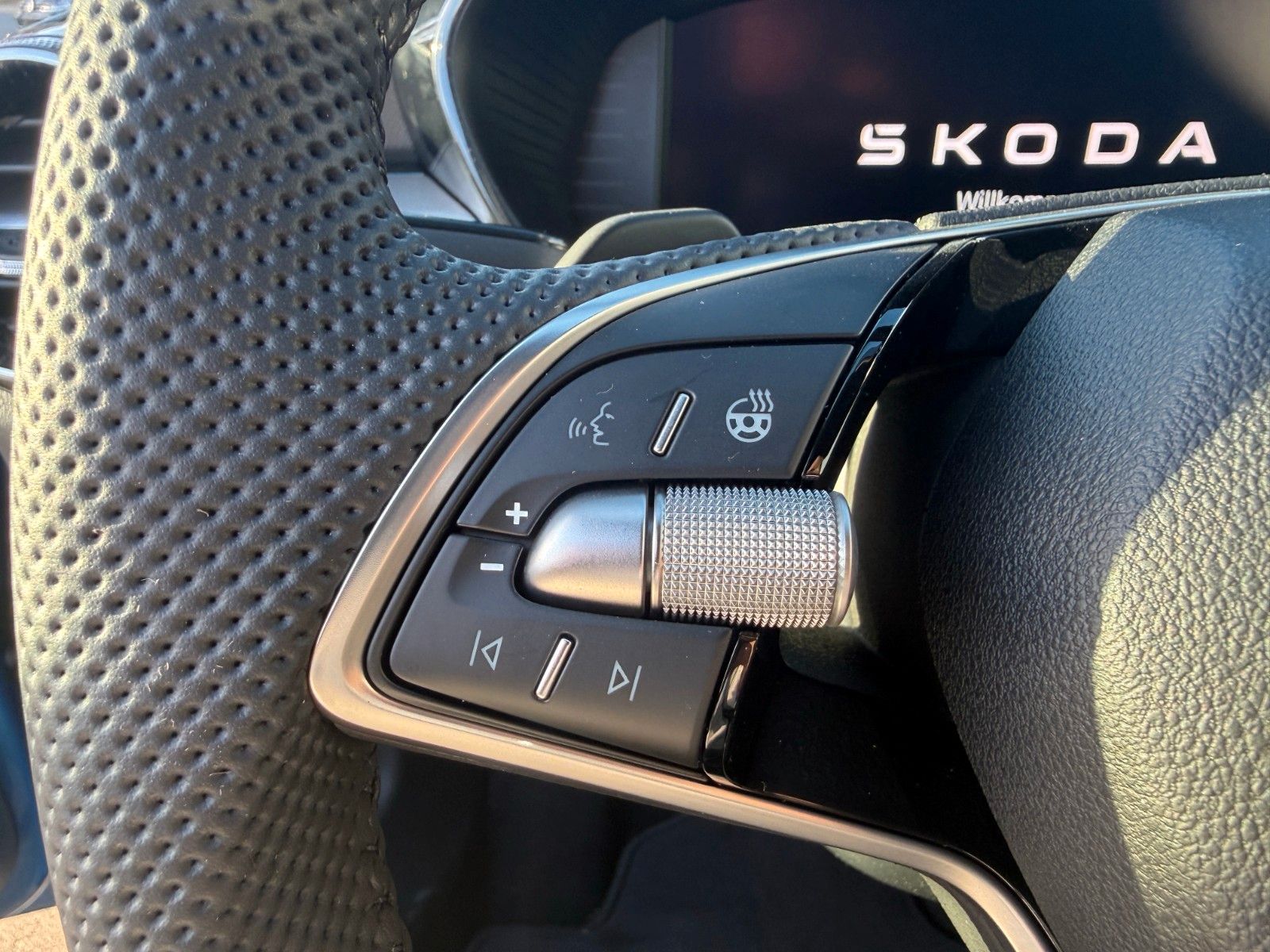 Fahrzeugabbildung SKODA Fabia Jubiläumsedition 1,5 TSI 130 kW 7-Gang-DSG