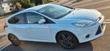 Ford Focus 1,6TDCi 85kW DPF SYNC Edition SYNC Edition - Ford Focus: Dpf