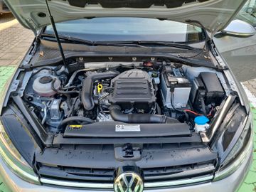 Fahrzeugabbildung Volkswagen Golf Variant 1.0 TSI Sound App-Connect ACC SHZ