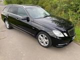 Mercedes-Benz E 350 CDI T BlueEFFICIENCY AVANTGARDE AVANTGARDE - Mercedes-Benz E 350: Cdi Blueefficiency