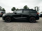 Cupra Terramar 2.0 TSI 195 kW 4Drive VZ, ACC, RFK, SHZ - Cupra Terramar: Vz