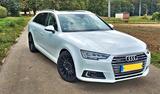 Audi TOP Audi A4 Avant quattro*TÜV NEU*PANO*KAMER*ACC