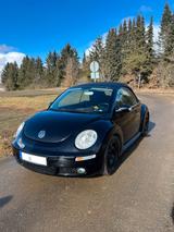 Volkswagen VW Beetle 1.6 Caprio - Volkswagen Beetle aus 2008: Cabrio