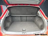 Volkswagen T-Roc - Vorschau Bild 14