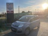 Fiat Panda 1.2 Trussardi - Fiat Panda TRUSSARDI mit Benzin-Antrieb