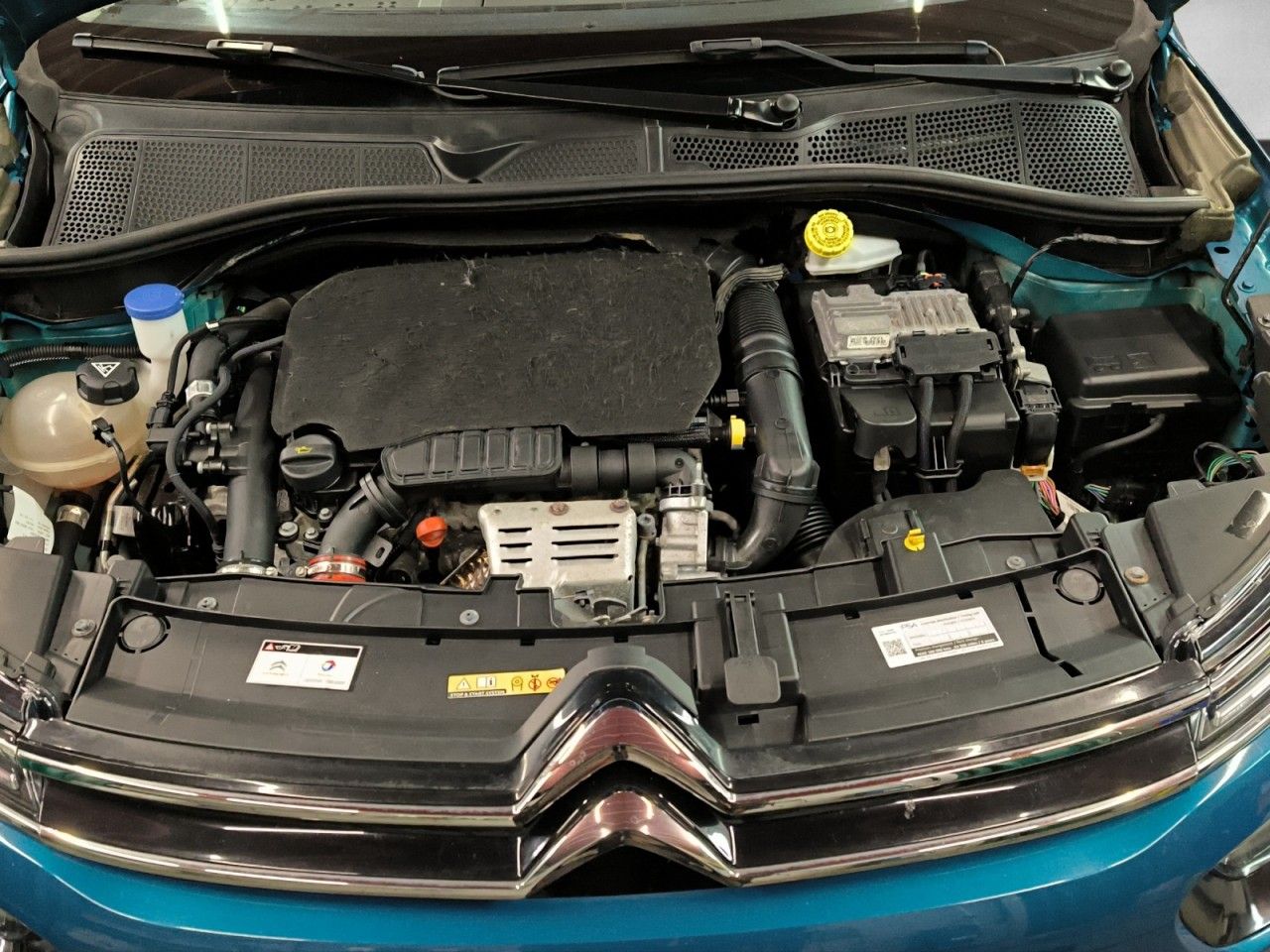 Fahrzeugabbildung Citroën C4 Cactus Shine Panoramadach Kamera uvm.