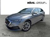 Skoda Octavia 1.0 TSI 115 Tour*LED*PDC*3-Zonen Klima*N - Skoda Octavia: 1z