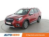 Subaru Forester 2.0 Aktive Aut.*AHK*CAM*PDC*SHZ*TEMPO* - Subaru Forester in Frankfurt (Main)