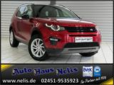Land Rover Discovery Sport SE AWD D150 Autom. Panorama Lede - Land Rover Discovery Sport Gebrauchtwagen