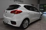 Kia Ceed 1.6 Dream Team Navi Kamera Sitzhz Tempo AHK - Kia cee'd / Ceed in Gelsenkirchen