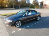 Audi A5 Cabriolet - 2,7 Turbodiesel - Audi mit Diesel-Antrieb: Turbo