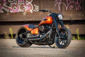 Harley-Davidson FLSL Softail Slim 300 Ricks