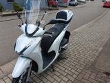 Honda SH 350 I - Honda Motorräder in Saarbrücken