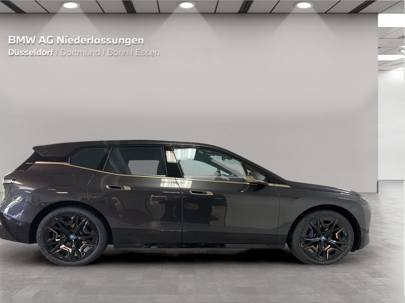 BMW iX xDrive40 Bowers & Wilkins AHK Driv.Assist foto 5