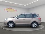 Subaru Forester Exclusive *Leder*Panorama*AHK* - Subaru: L