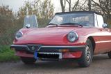 Alfa Romeo 1.6 Spider - gebrauchte Alfa Romeo Spider aus dem Jahr 1986