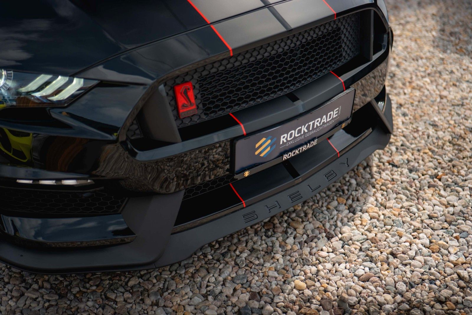 Fahrzeugabbildung Ford Mustang Shelby GT 500 5.0 V8 Performance PREMIUM