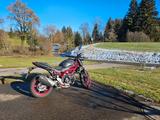 Suzuki SV 650 - SUZUKI ABS SV 650