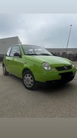 Volkswagen Lupo 1.0 COMFORTLINE Comfortline - Volkswagen Lupo: Grün