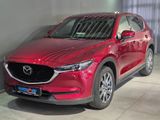 Mazda CX-5 Sports-Line Plus G-194/AT/AWD/GSD/Navi/Head - Mazda in Kassel