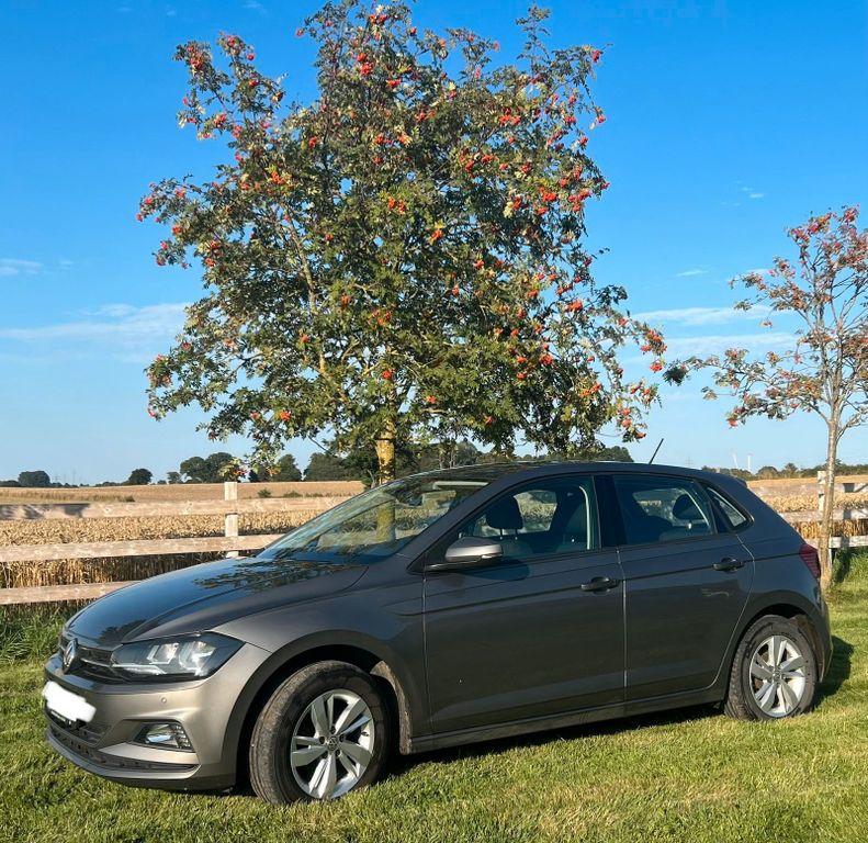 Image of Volkswagen Polo