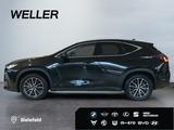 Lexus NX 450h+ E-FOUR Executive Line *LED*360°*ACC*PDC - Lexus NX 450h SUV