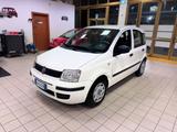Fiat Panda 1.2 Emotion - Fiat Panda Emotion mit Benzin-Antrieb