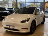 Tesla Model Y Long Range Dual*AWD*ACC*Pano*R.cam*WMP - Tesla Model Y in Bonn