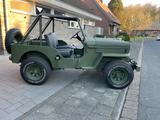 Jeep CJ-3B  guter Zustand, H-Zulassung - Jeep CJ: Cj3