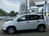 Fiat Panda Mild-Hybrid Base Bluetooth nur 24.999km ! - Fiat Panda: Km H