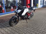 Honda CB750 Hornet Sofort Verfügbar - HONDA HORNET S