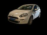 Fiat Punto 1.2 8V 5 porte Lounge - Fiat Punto LOUNGE mit Benzin-Antrieb
