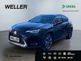 Lexus UX 250h Style Edition *Bi-LED*ACC*CAM*SHZ*CarPla - Lexus UX in Wuppertal