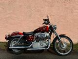 Harley-Davidson XL 883 C SPORTSTER CUSTOM 5HD4 MIT MCJ AUSPUFF - Angebote