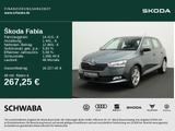 Skoda Fabia Style 1.0 TSI *PDC*GRA*R-KAM*SHZ*NAVI*16"* - Skoda Fabia Gebrauchtwagen in Augsburg