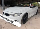 BMW 4 Cabrio 428 i xDrive SPROT LINE SOUNDSYSTEM - BMW 428: 428i