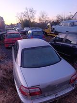 Opel Omega 2.2 16V Selection*KEINTÜV*EXPORT* - graue Opel Omega