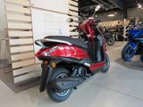 Yamaha D'elight 125 *Mod./24* - Offers matching your search criteria