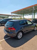 Volkswagen VW Golf 7 CUP 1.2 TSI Bluemotion  BJ 09/2... - Volkswagen Golf: Bj