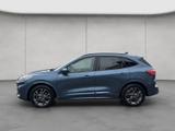 Ford Kuga 2.0 EcoBlue Aut. ST-LINE X - Ford Kuga aus 2023